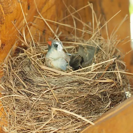 Goralski Gosciniec & Séjour chez l'habitant *