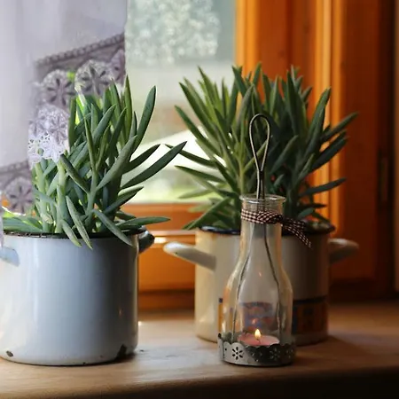 Goralski Gosciniec &